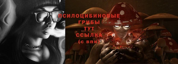 гидропоника Алзамай