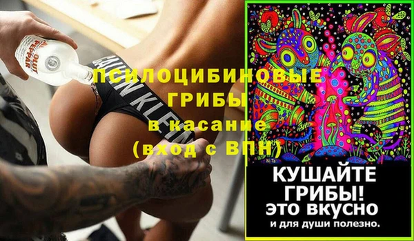 гидропоника Алзамай